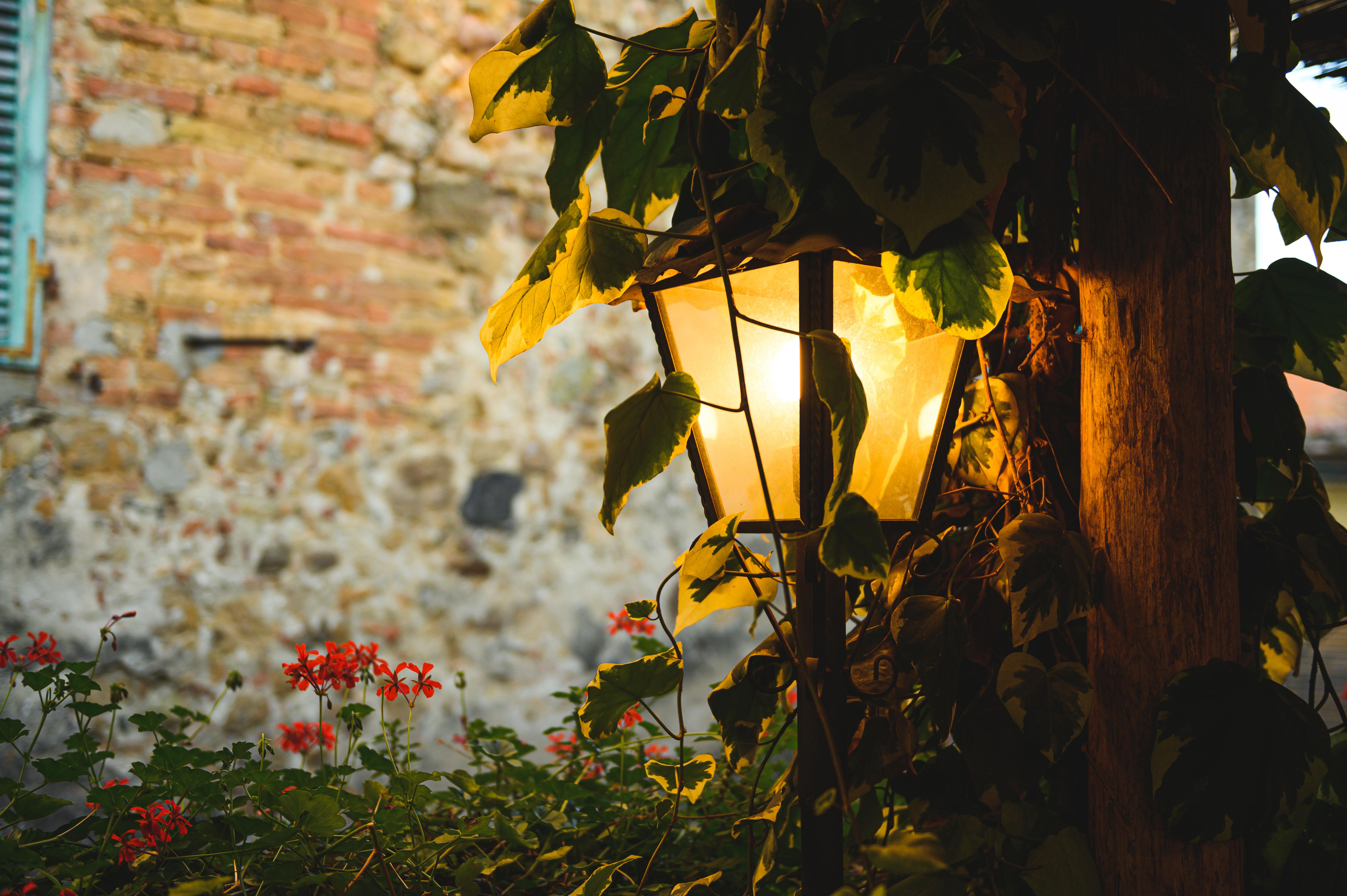 Palazzo Del Capitano Wellness E Relais Hotel San Quirico dʼOrcia Exterior foto